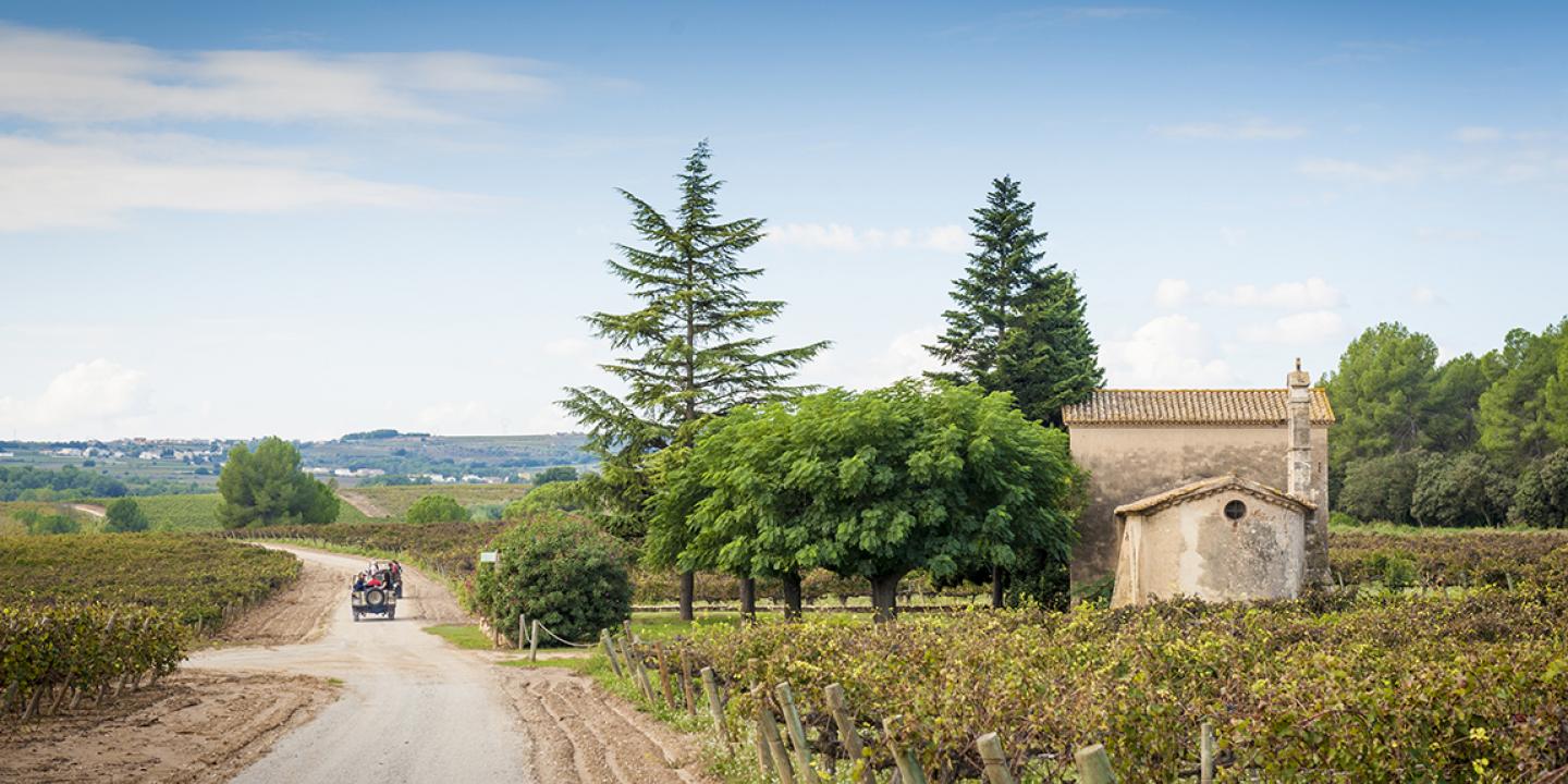 Lavern Subirats - La Granada Lavern Subirats - La Granada